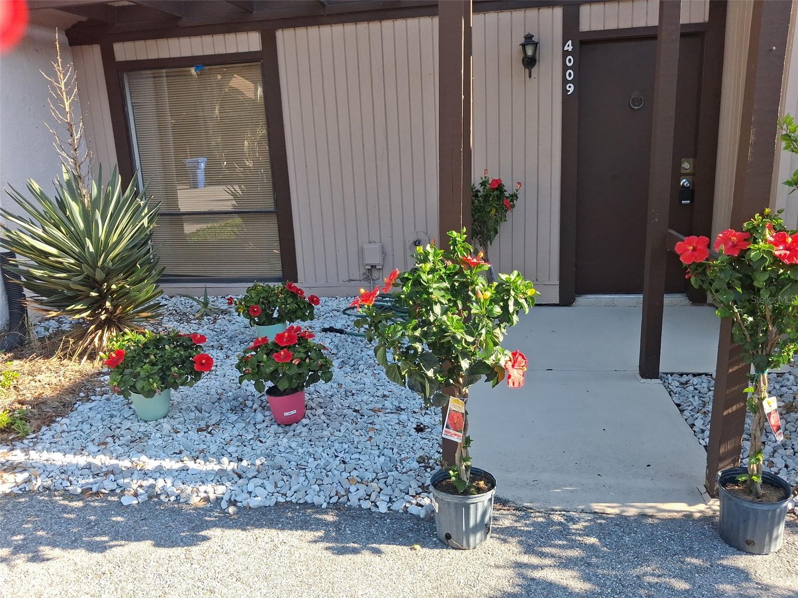 4009 MURIEL PL — photo 2
