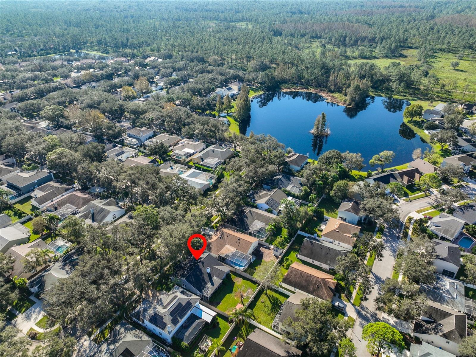 9309 HAMPSHIRE PARK DR — photo 45