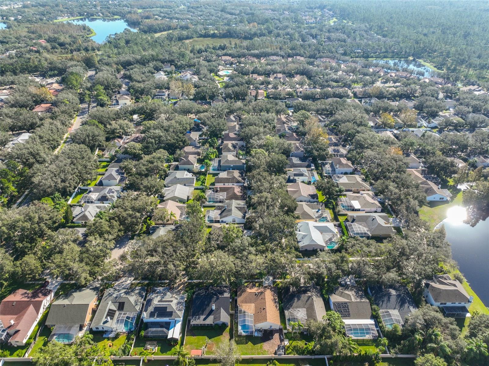 9309 HAMPSHIRE PARK DR — photo 44