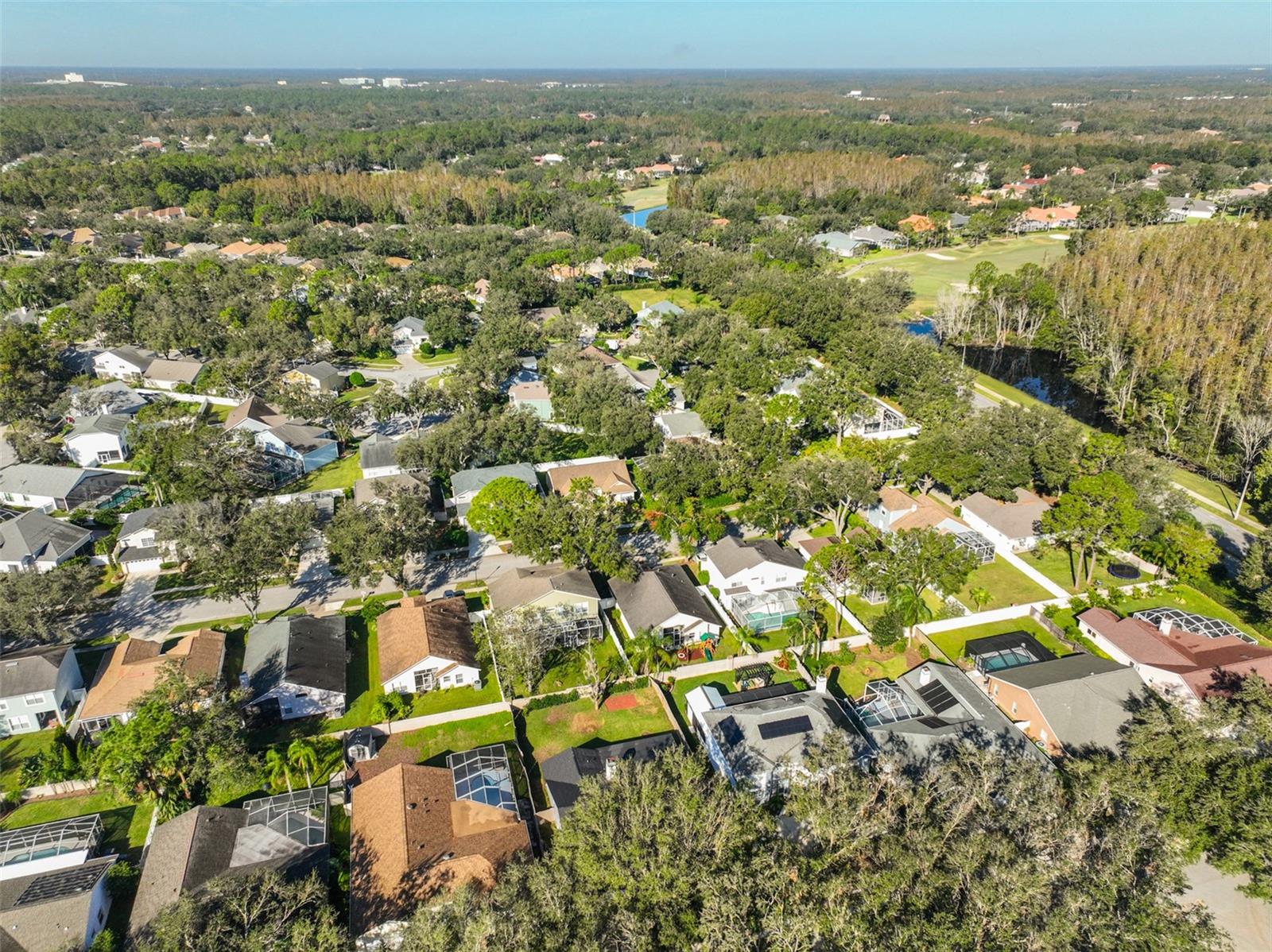 9309 HAMPSHIRE PARK DR — photo 40