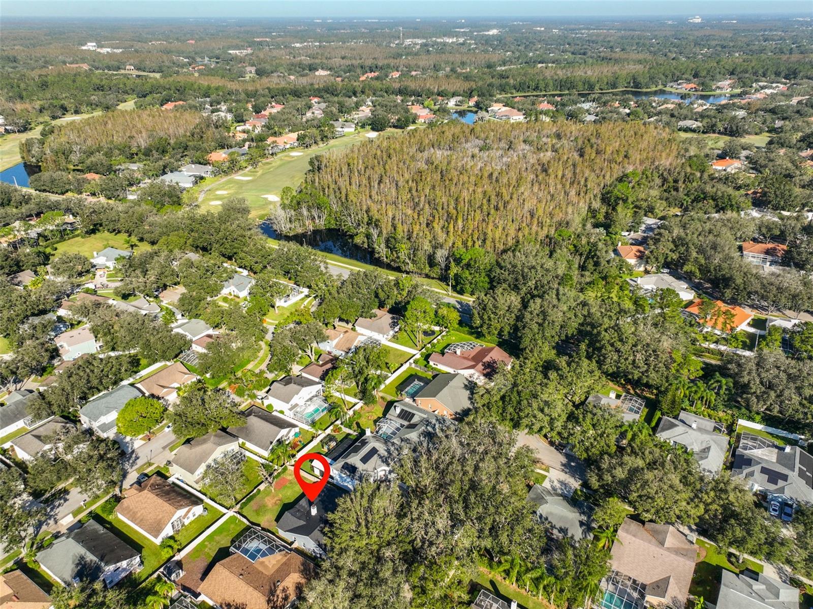 9309 HAMPSHIRE PARK DR — photo 41