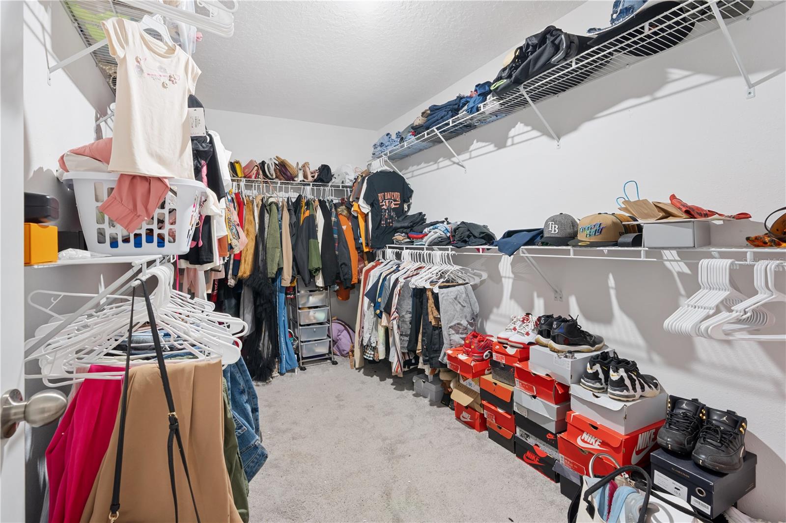 7420 PEARLY EVERLASTING AVE — photo 28