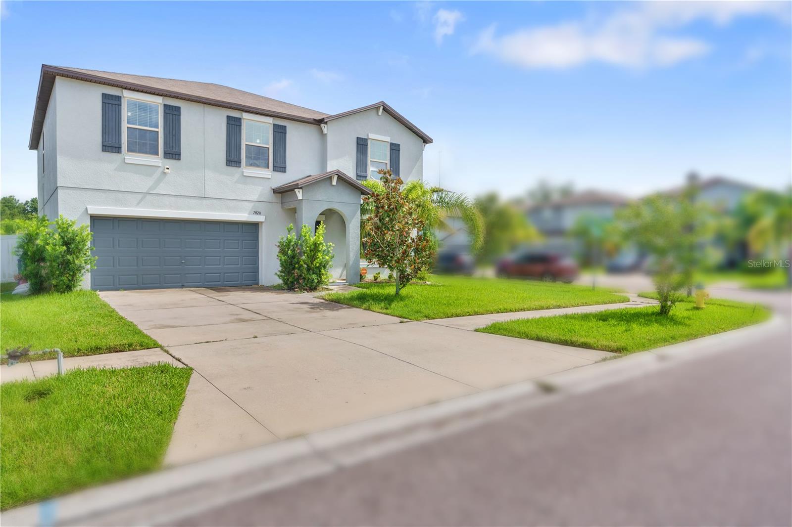 7420 PEARLY EVERLASTING AVE — photo 3