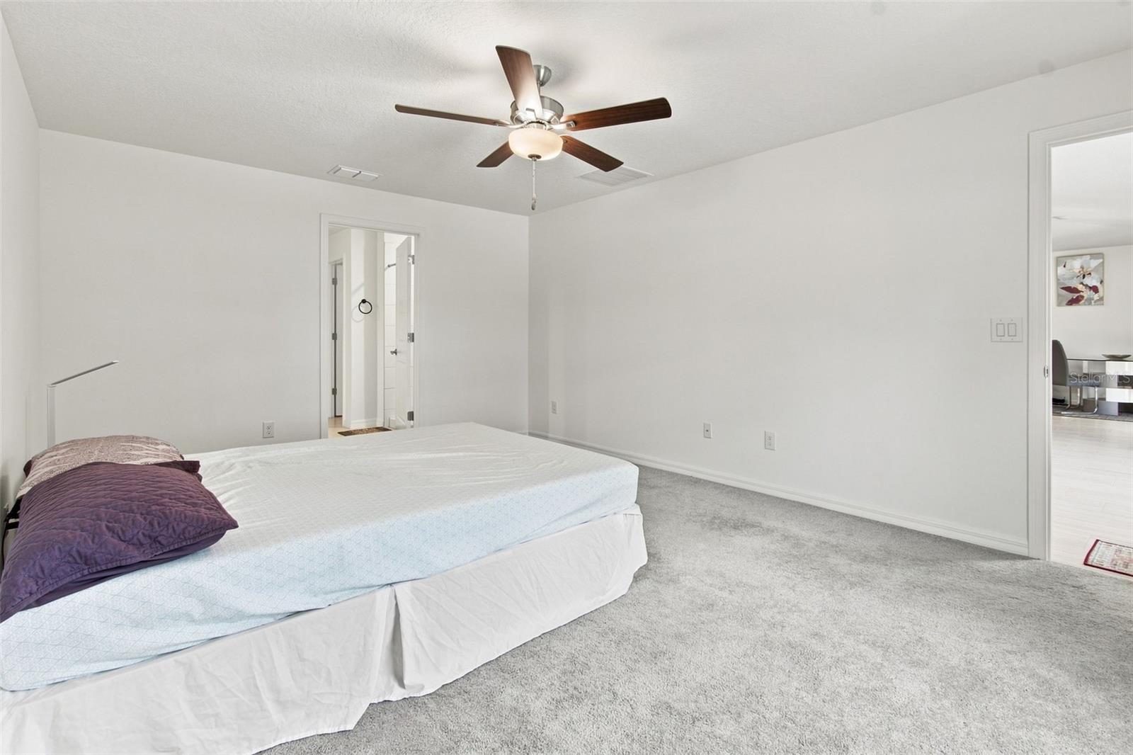 34701 RAINVILLE LOOP — photo 31