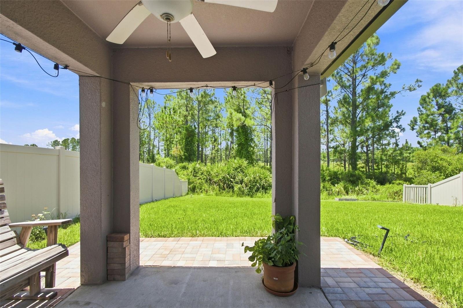 34701 RAINVILLE LOOP — photo 41