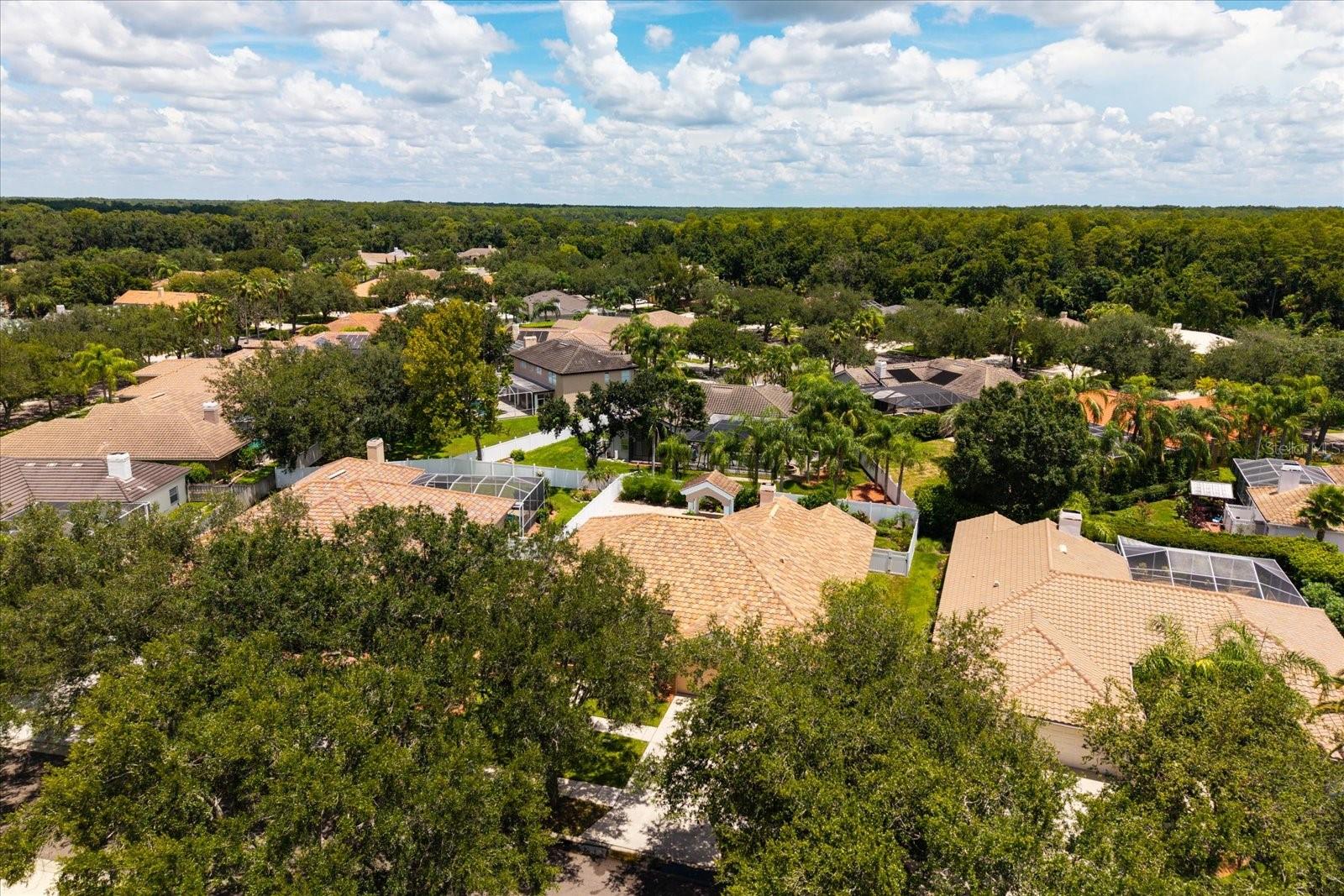 1723 CAPTIVA DR — photo 6