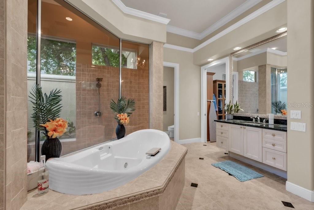 6217 KINGBIRD MANOR DR — photo 41