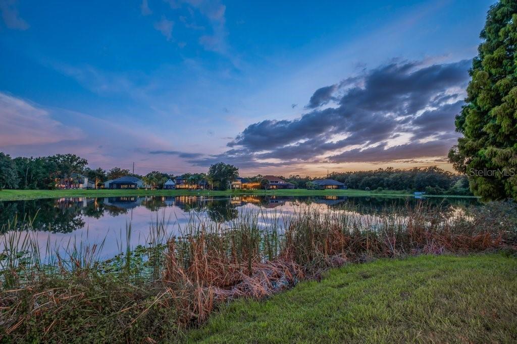 6217 KINGBIRD MANOR DR — photo 5