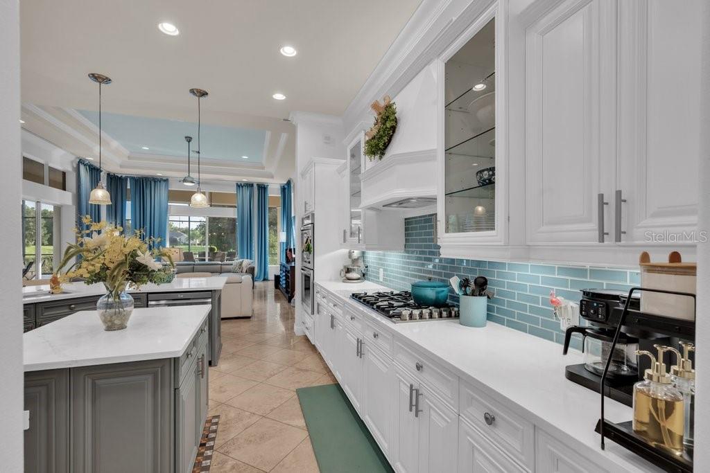 6217 KINGBIRD MANOR DR — photo 24