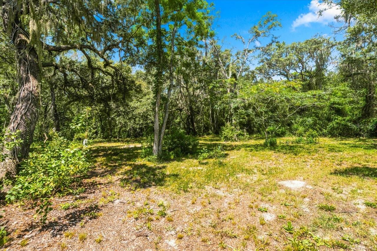 15535 RENEE LN — photo 46