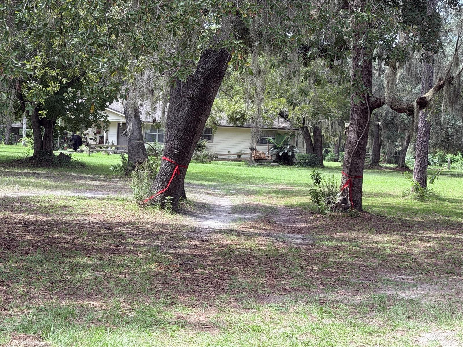 15535 RENEE LN — photo 3