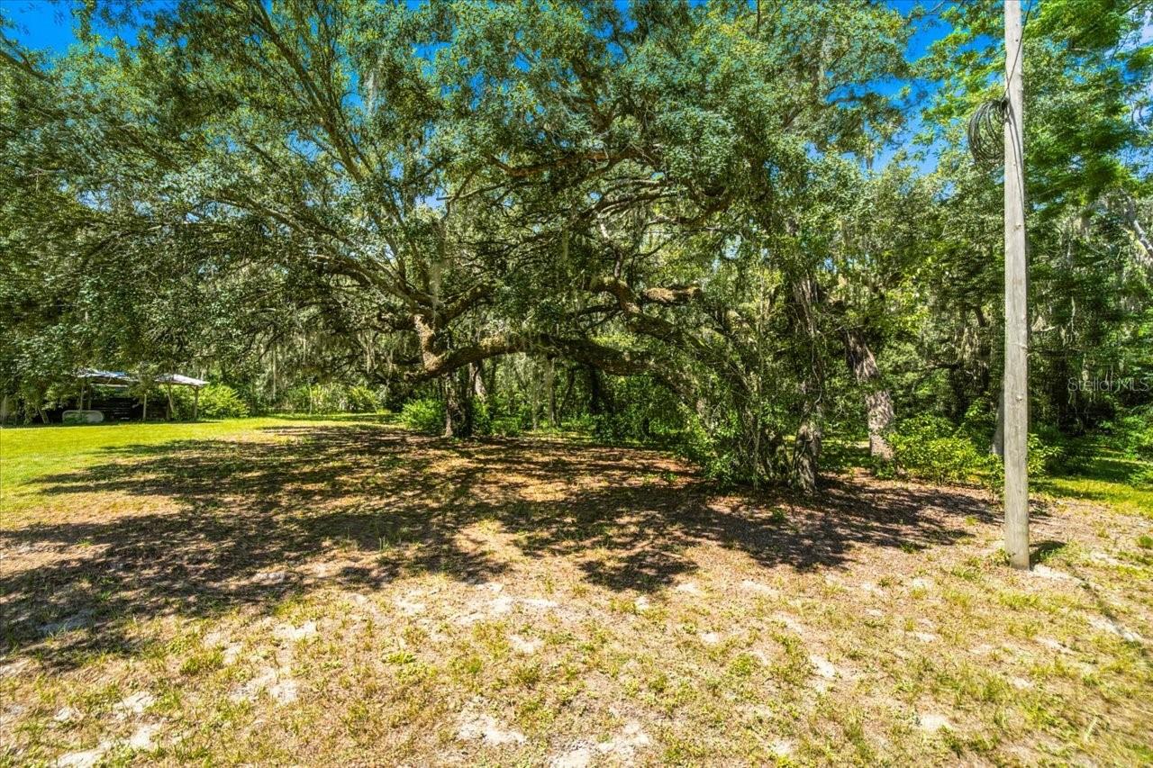 15535 RENEE LN — photo 47