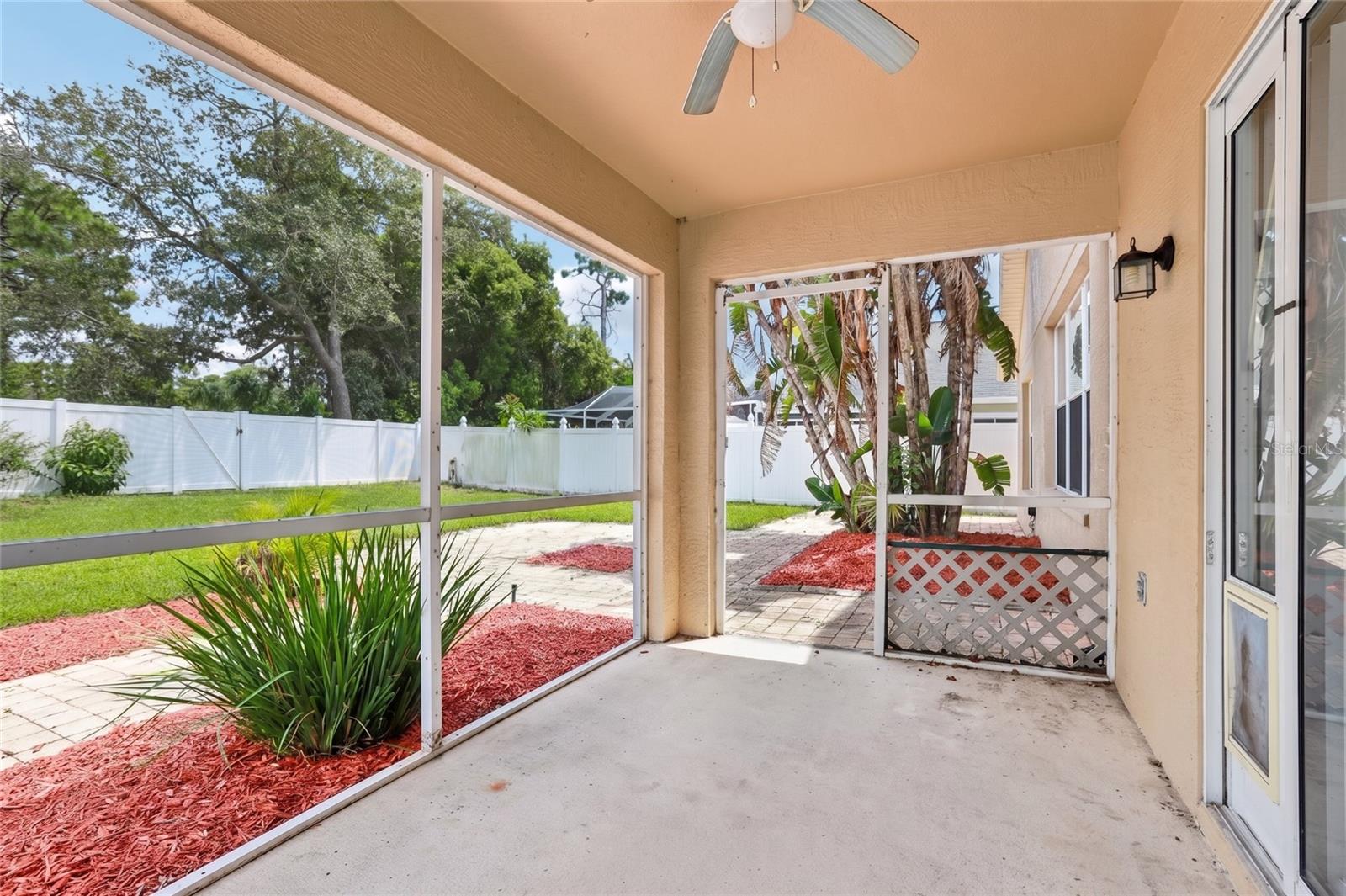 2638 BIG PINE DR — photo 25