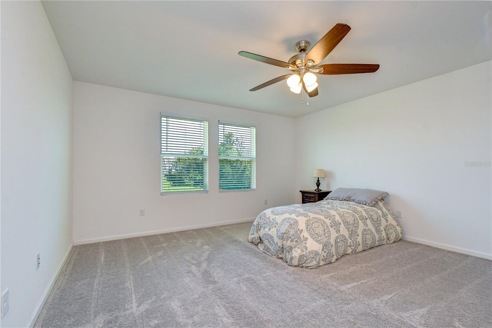 35651 BUTTONWEED TRL — photo 13