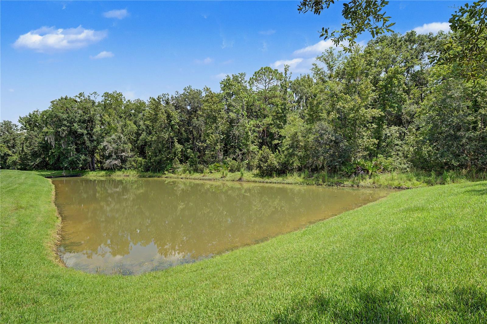 29079 OXMOOR CT — photo 5