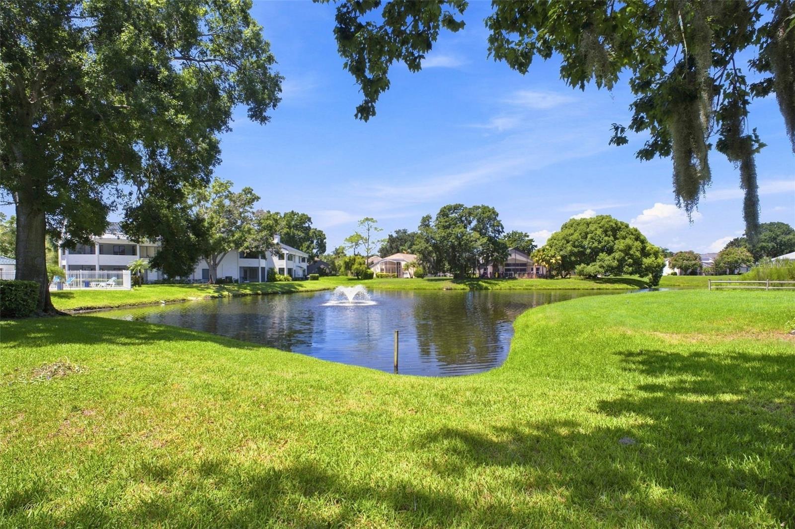 3588 INDIGO POND DR #12 — photo 53