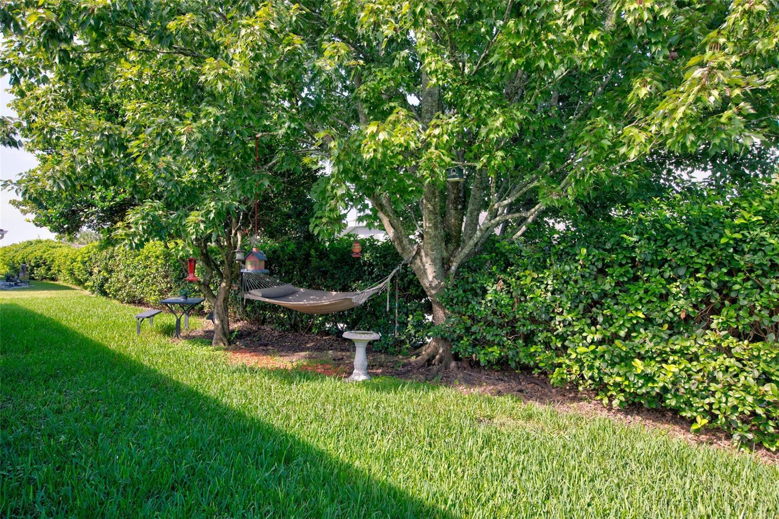 11117 TWOSOME DR — photo 28