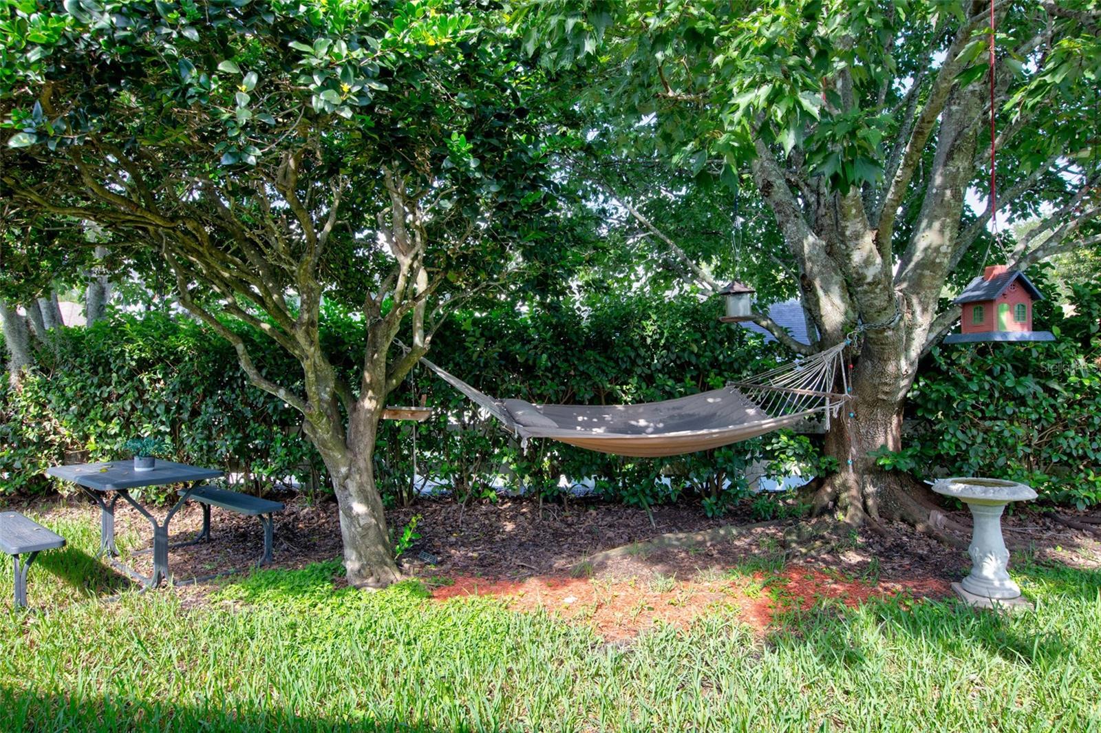 11117 TWOSOME DR — photo 27