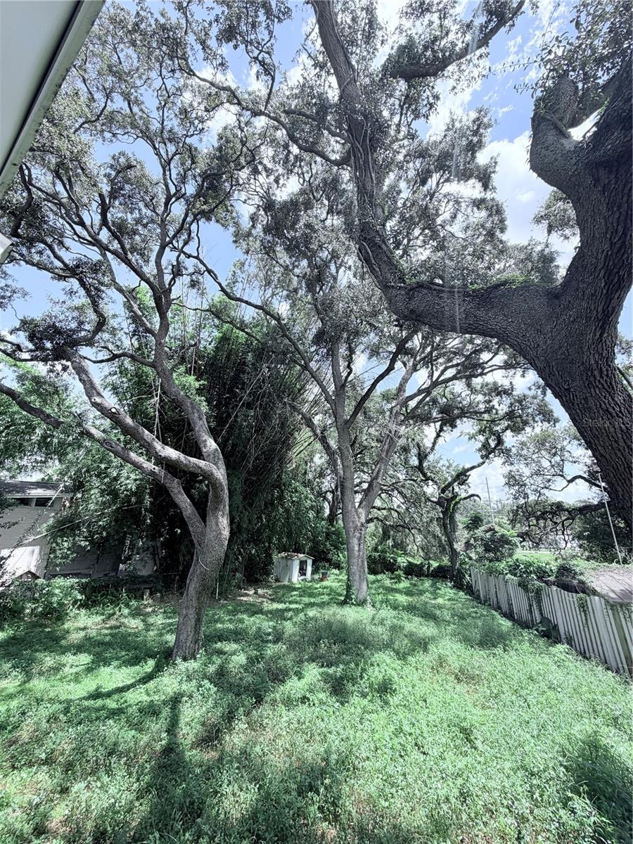 10801 N EDISON AVE — photo 16