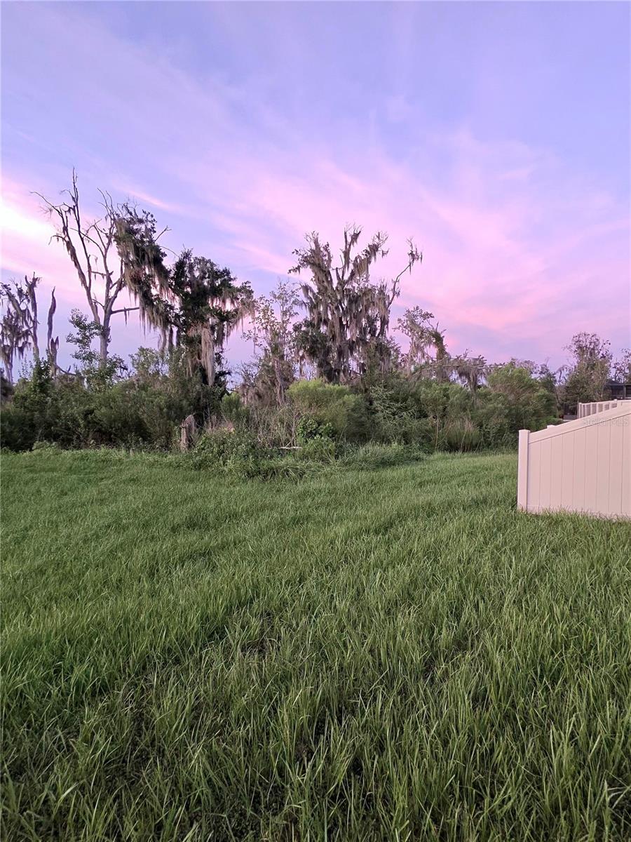 1663 HAZY SEA DR — photo 33