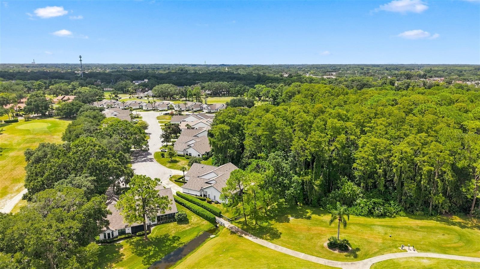 9239 TURNBERRY CT — photo 34