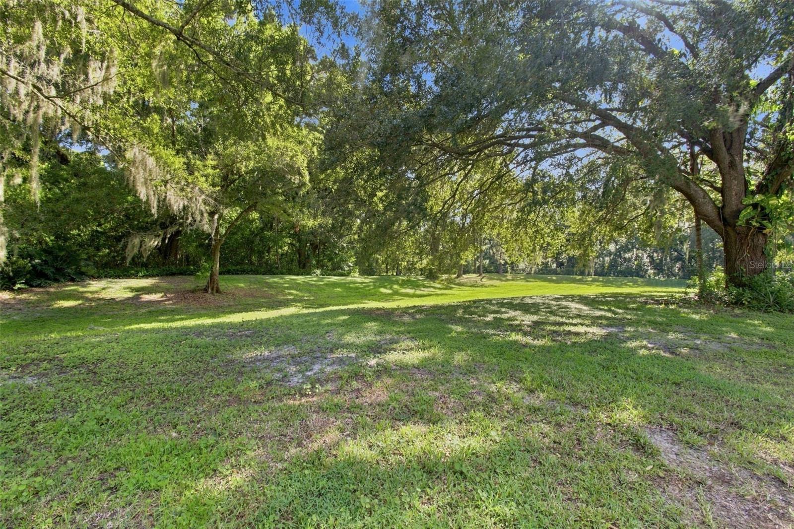 7233 WOODBROOK DR — photo 49