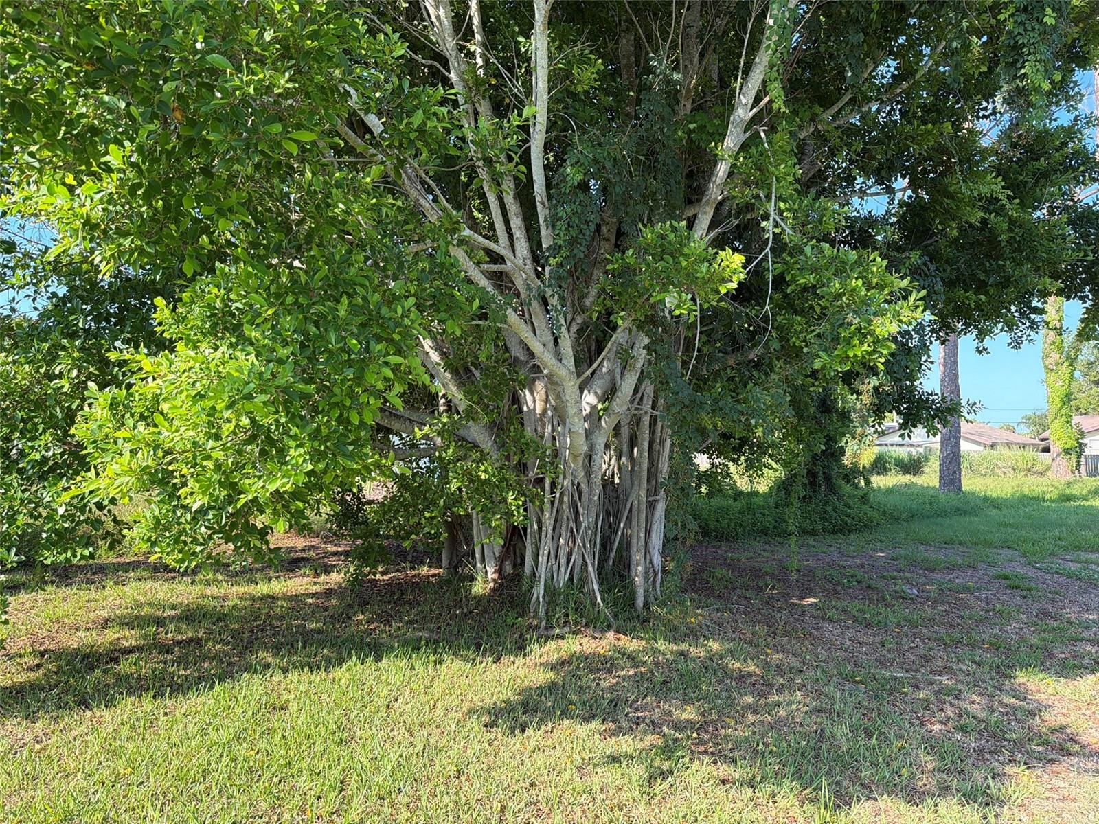 Lot 18 MICHIGAN AVE — photo 4