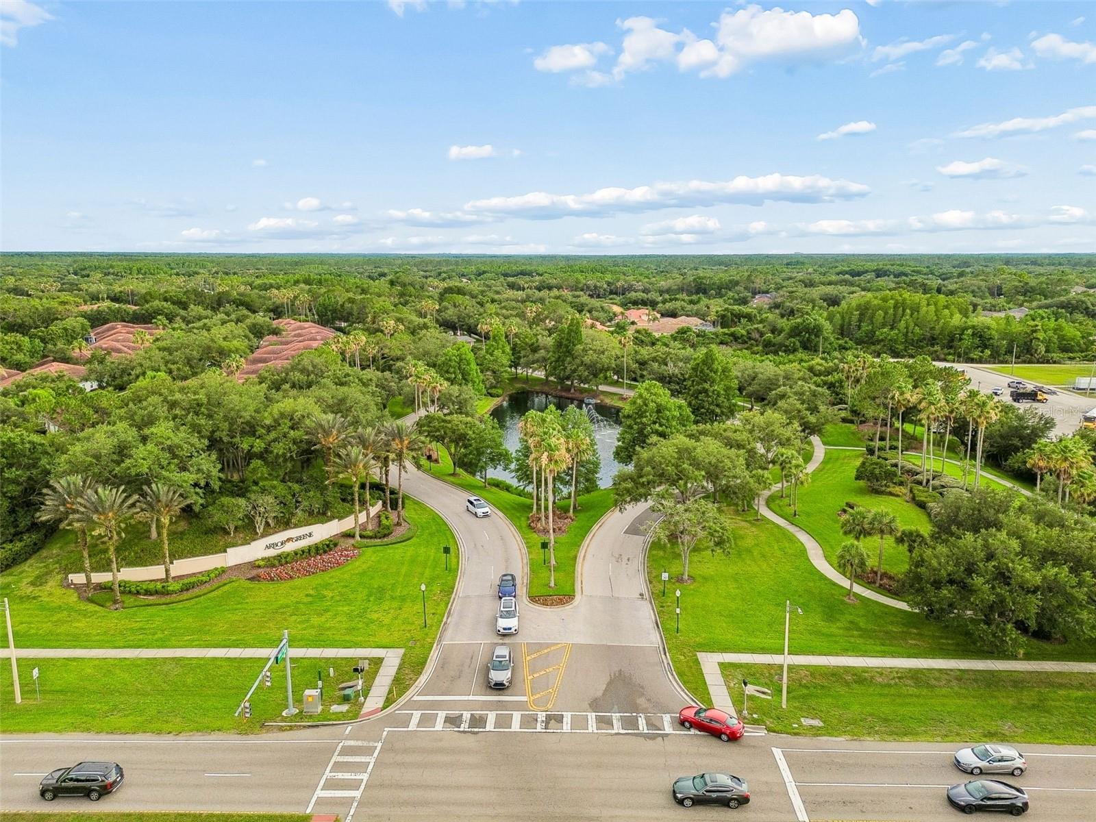 10260 SHADOW BRANCH DR — photo 41