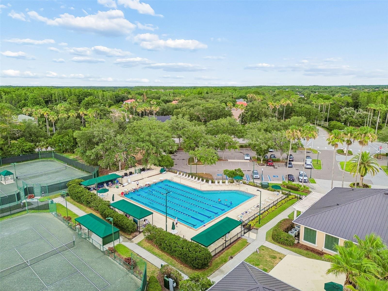 10260 SHADOW BRANCH DR — photo 48