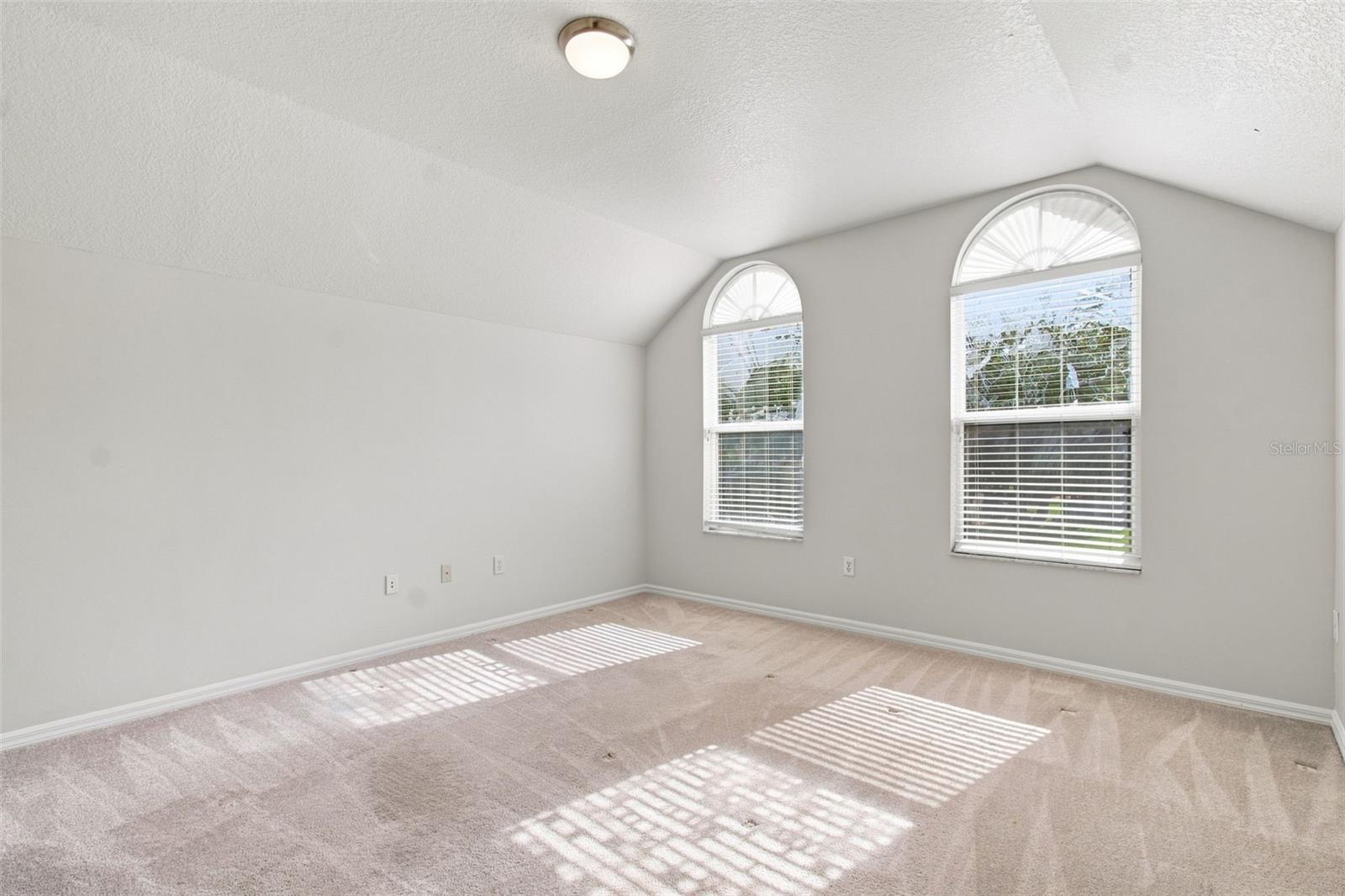 10260 SHADOW BRANCH DR — photo 30