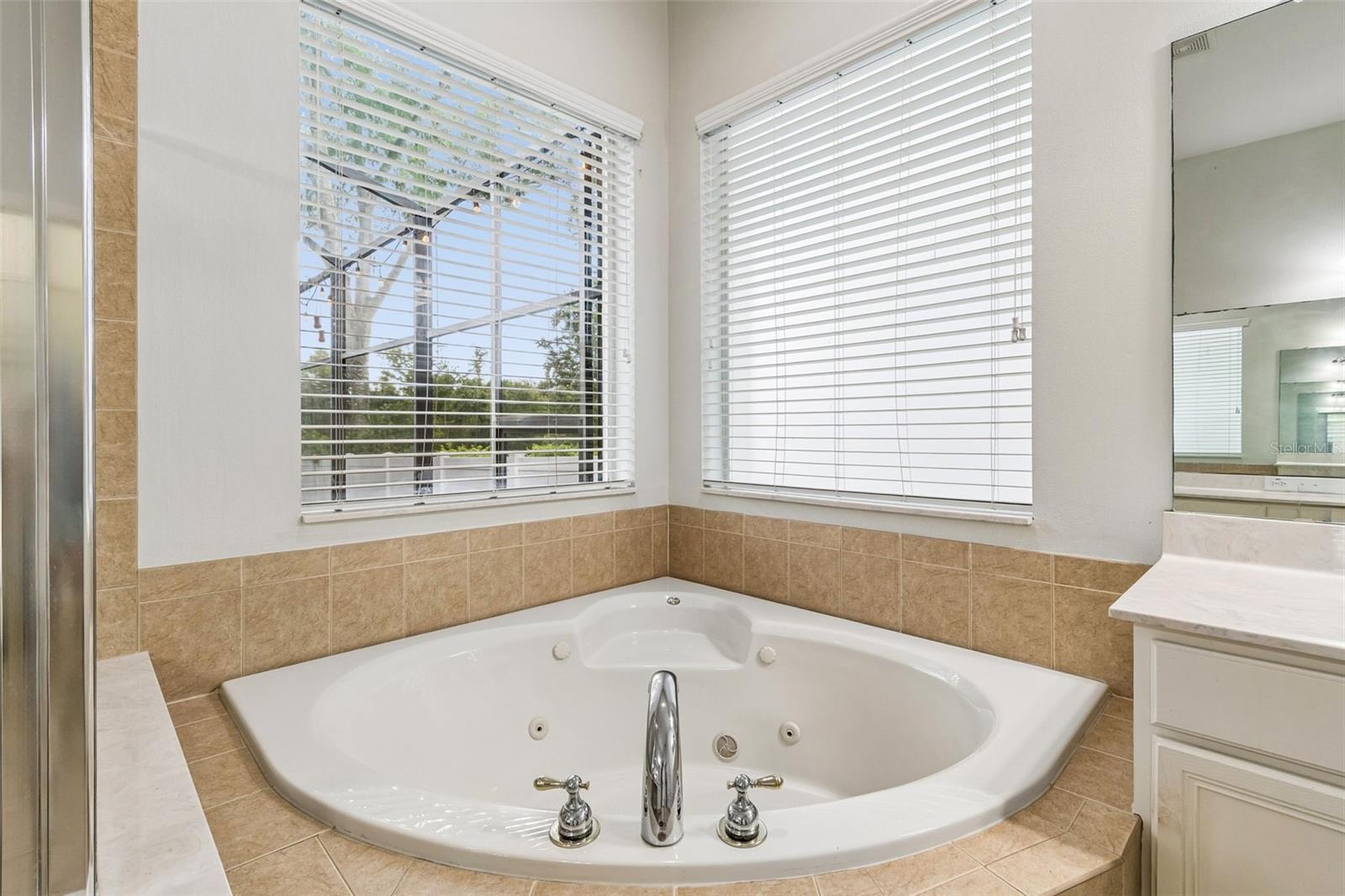 8523 NORTHTON GROVES BLVD — photo 41