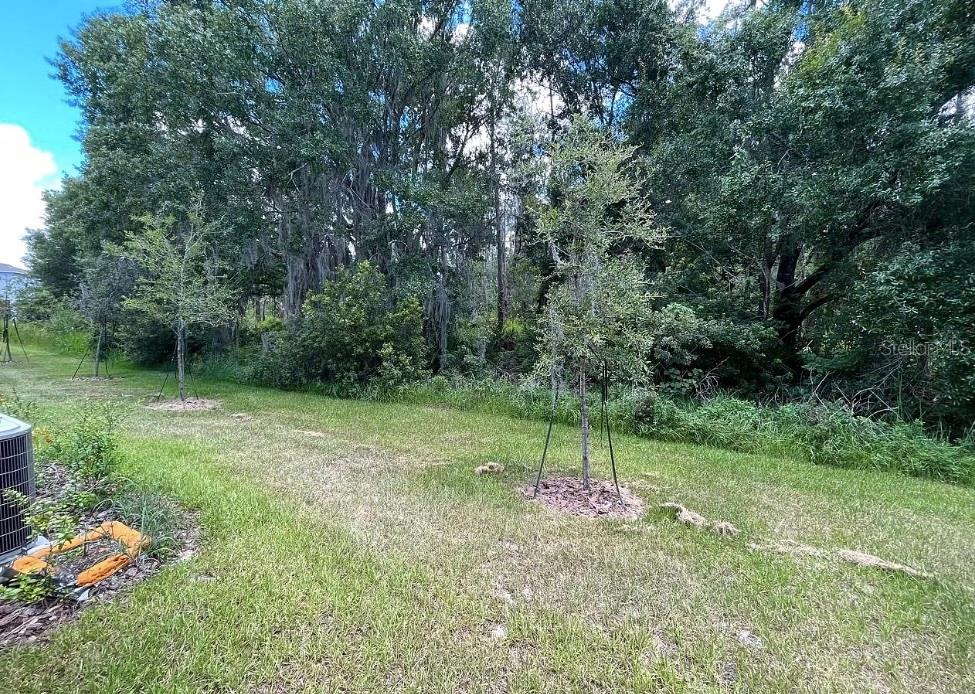 32867 PEZ LANDING LN — photo 33