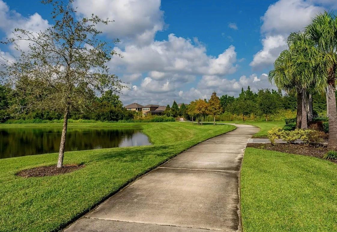 32867 PEZ LANDING LN — photo 44