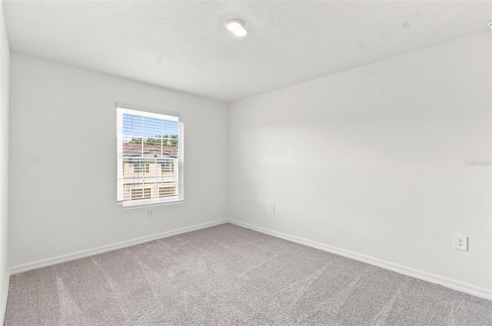 36159 RISA MICHELE ST — photo 13