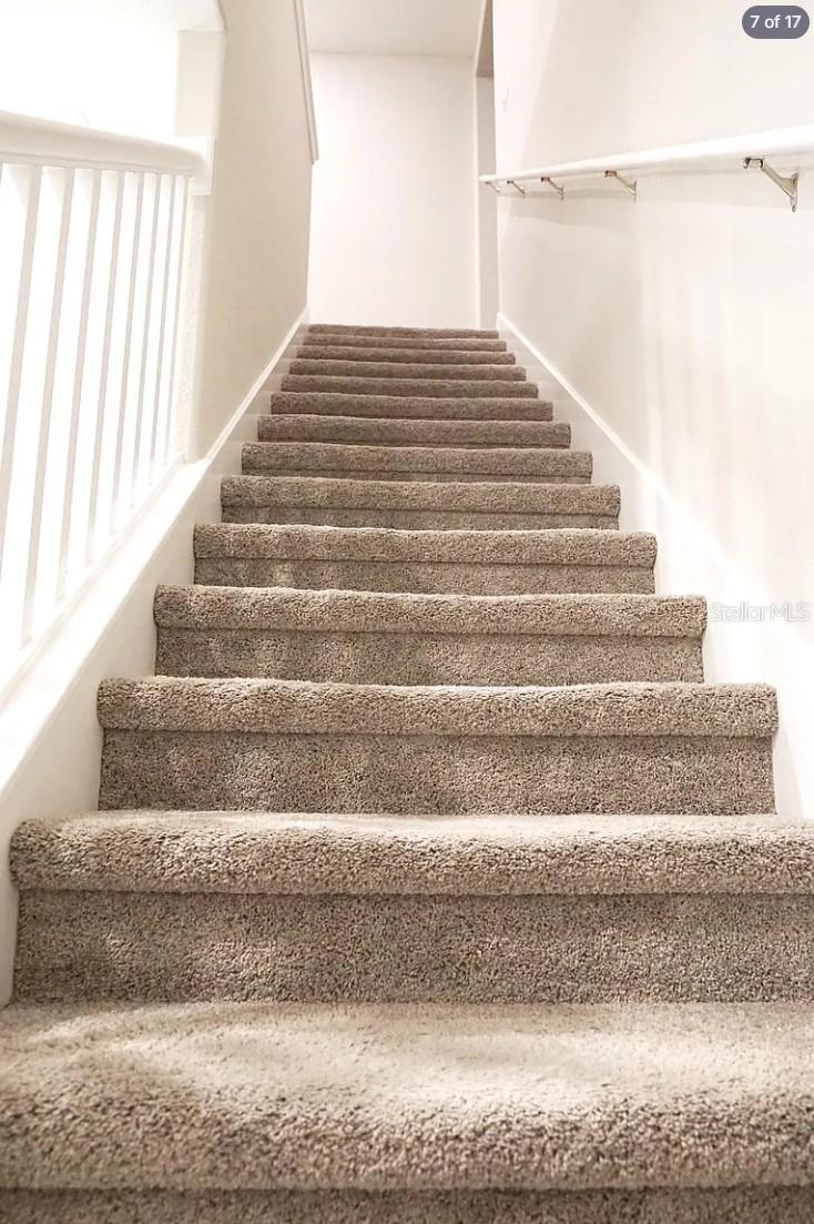 6834 CITRUS CREEK LN — photo 8