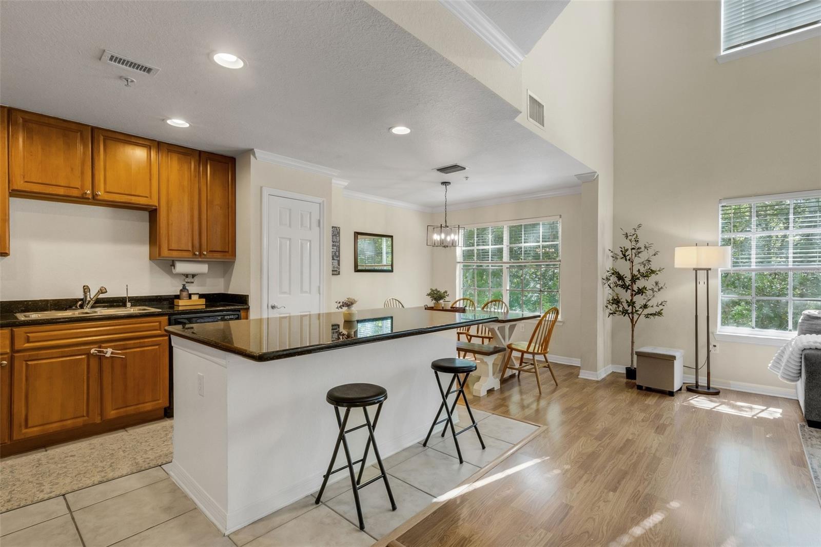 9872 MEADOW FIELD CIR #503 — photo 5