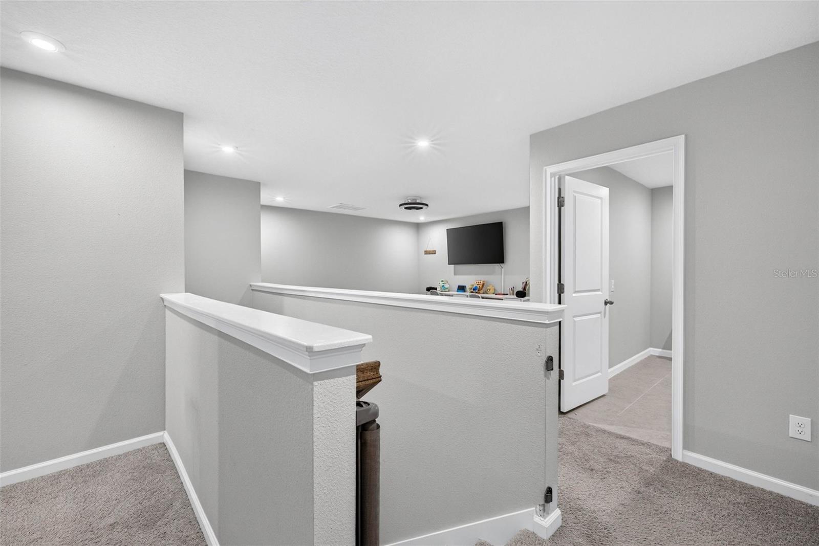 4116 CLOUD HOPPER WAY — photo 21