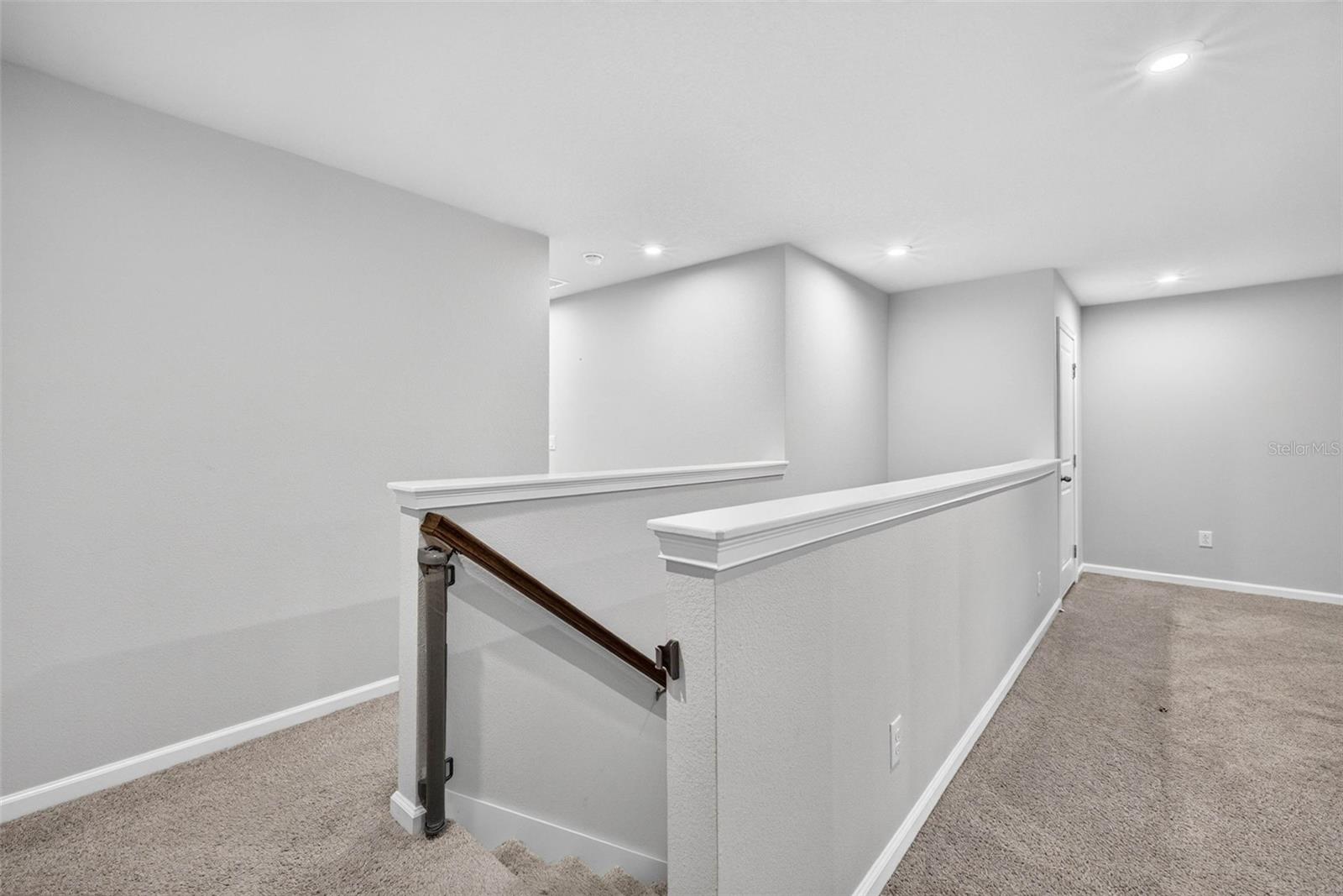 4116 CLOUD HOPPER WAY — photo 22