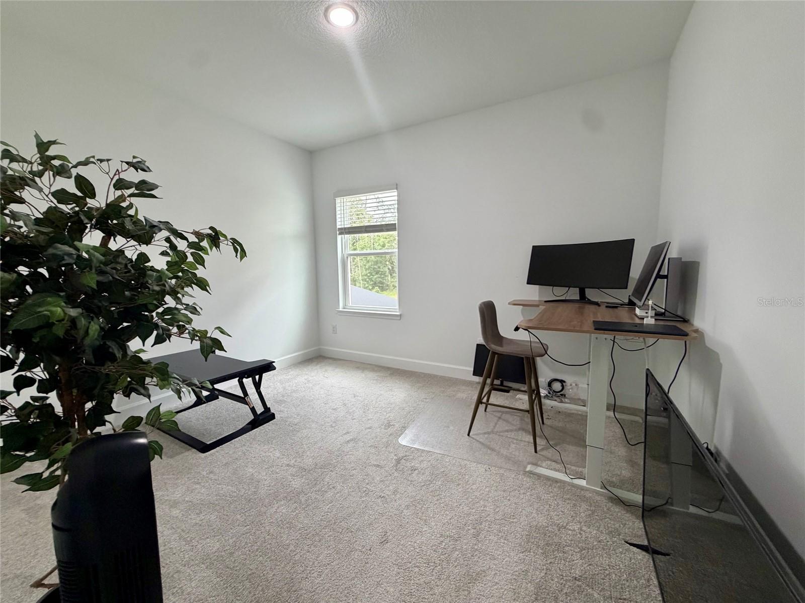 33901 LANDSMAN LOOP — photo 19