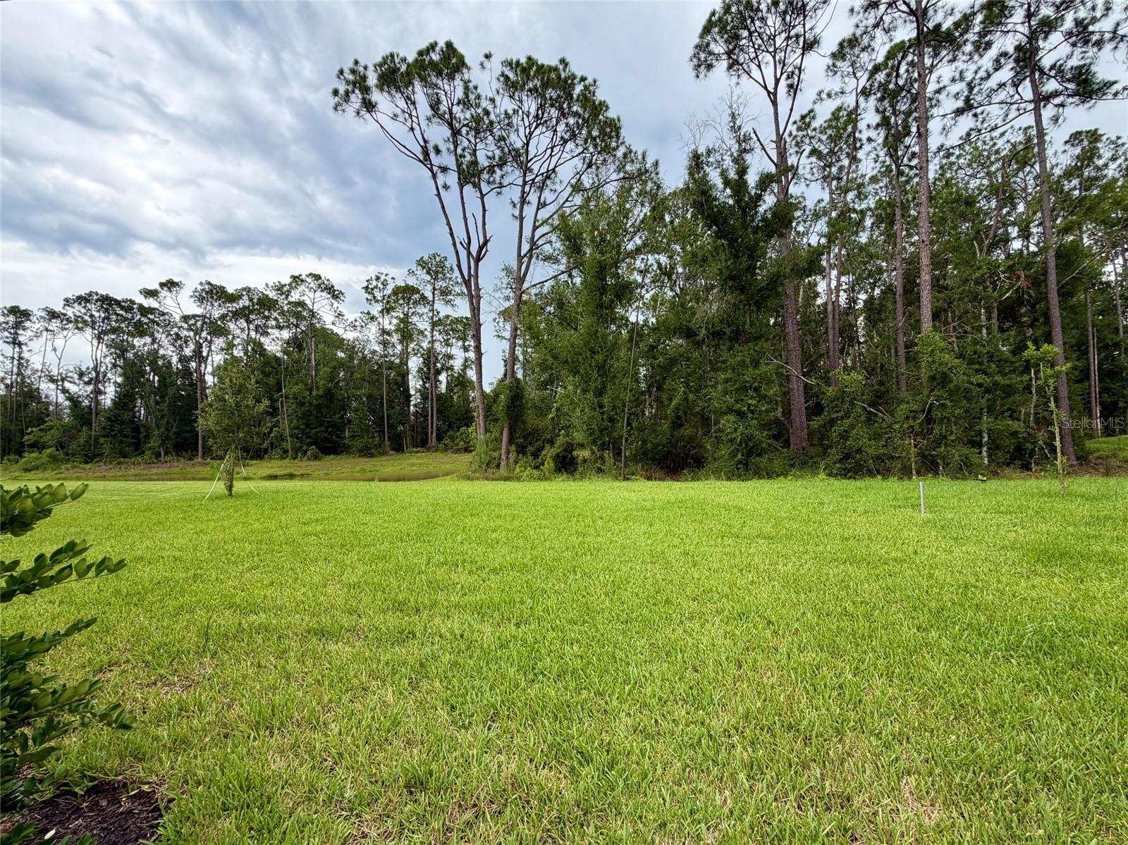 33901 LANDSMAN LOOP — photo 25