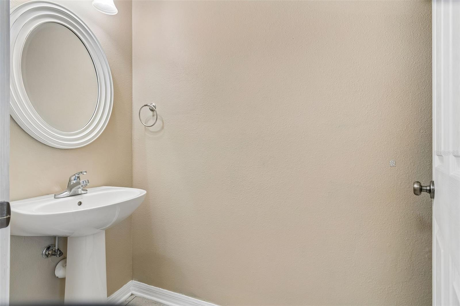 10818 GREAT CARLISLE CT — photo 5