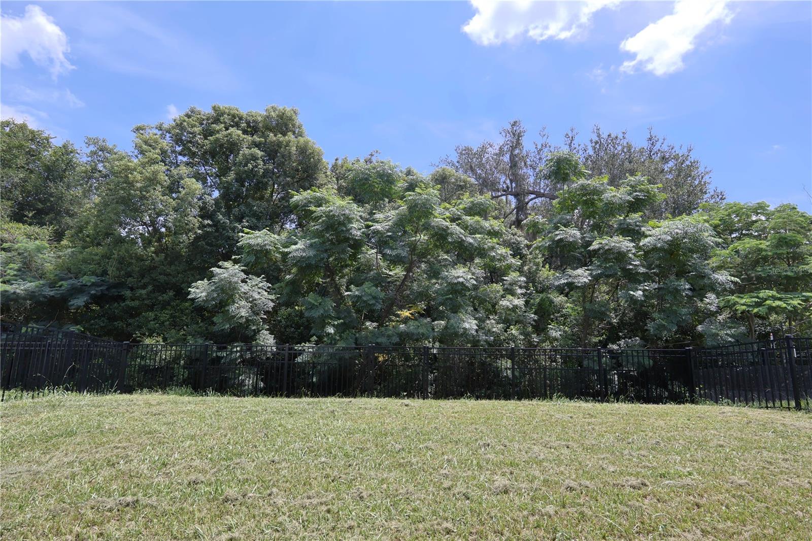 13726 WHISKEY DAISY DR — photo 17