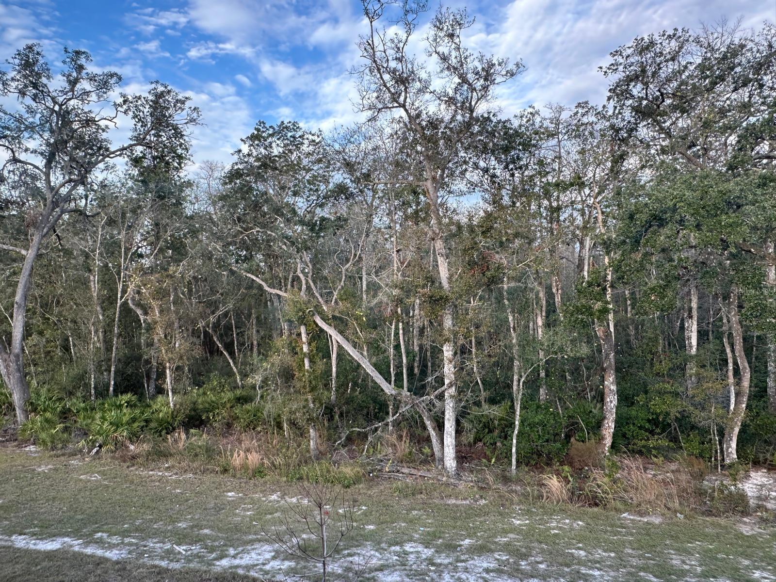 11111 WISHING CLOUD RD — photo 13
