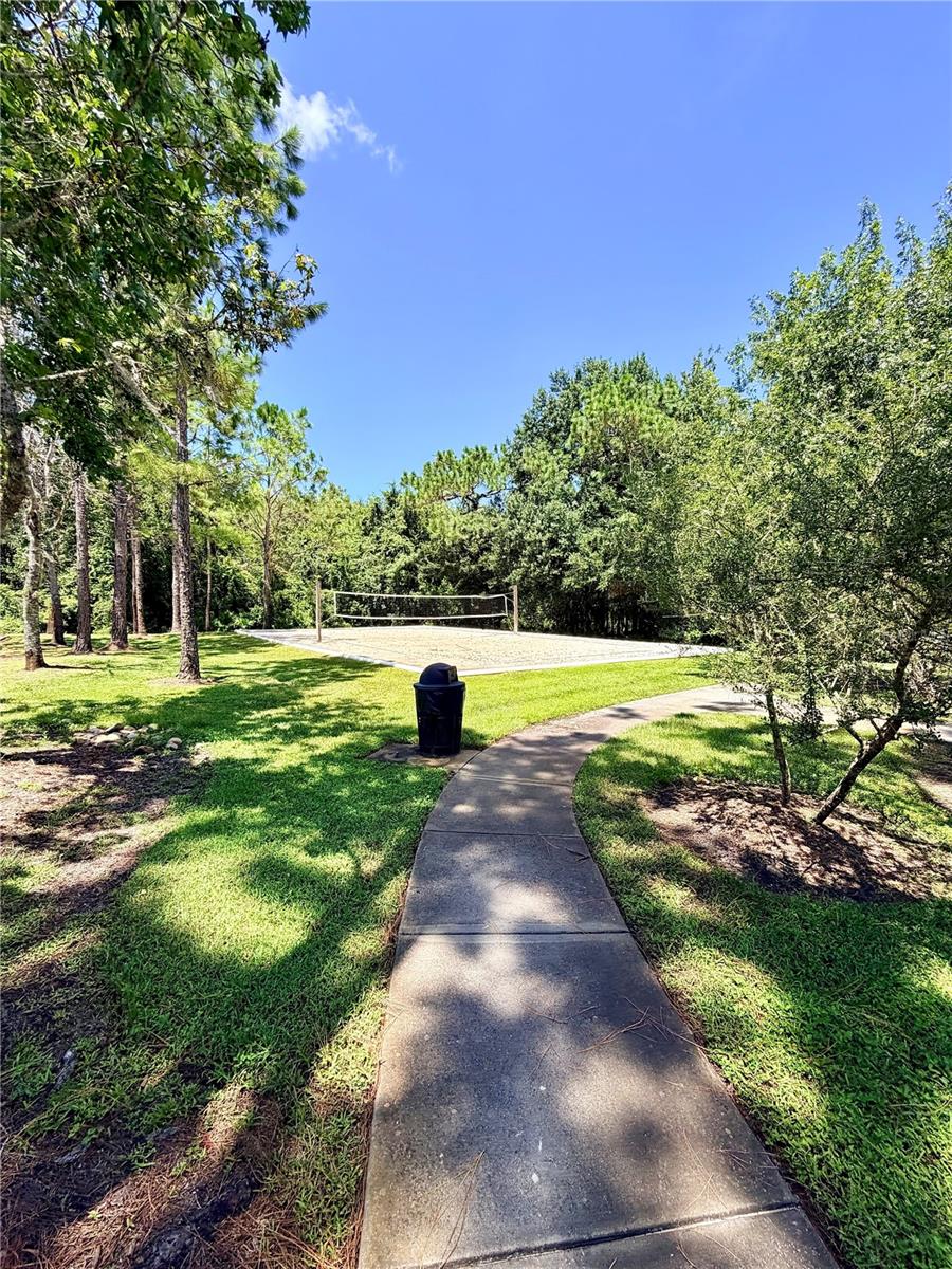 31150 GOSSAMER WAY — photo 15