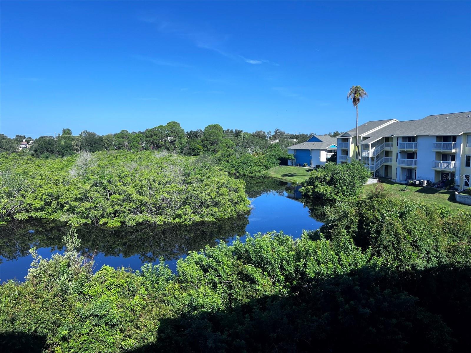 455 ALT 19 S #202 — photo 21