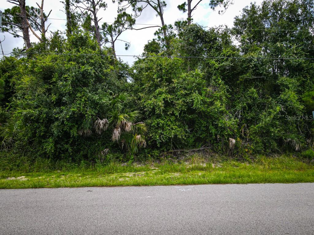 RUSSELLVILLE ST — photo 16