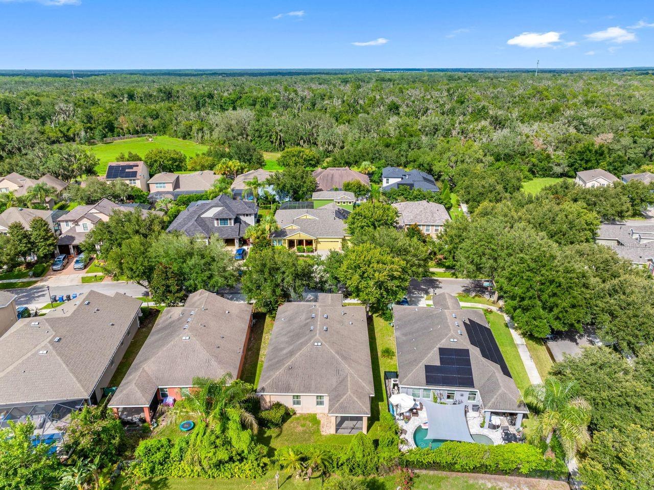 15913 OAKLEAF RUN DR — photo 24
