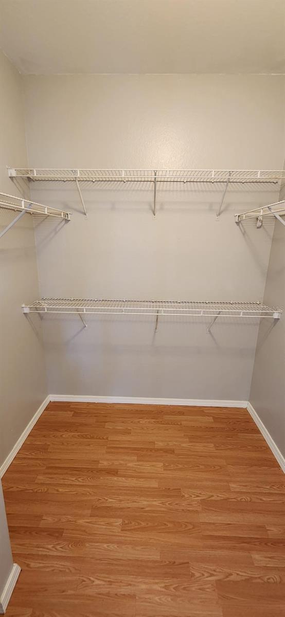 13015 SANCTUARY COVE DR #203 — photo 12