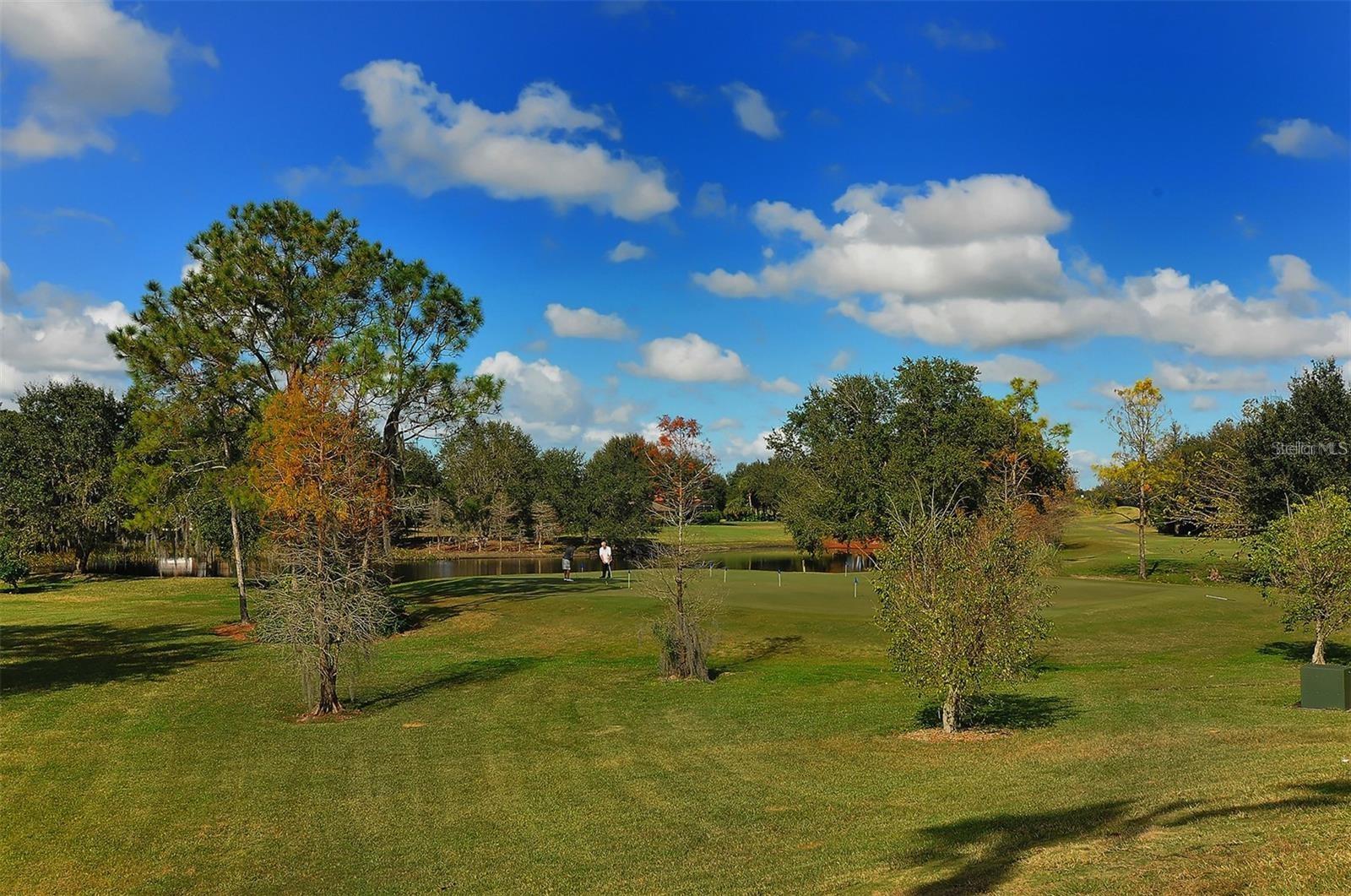 11876 HOLLYHOCK DR — photo 25