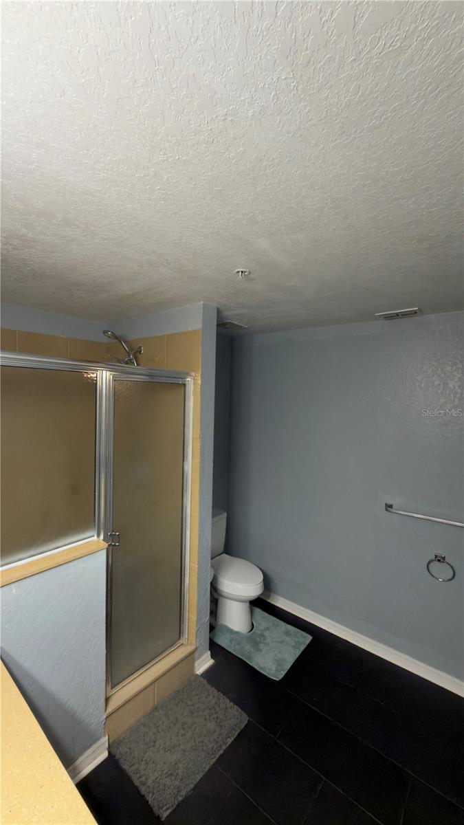 5031 SUNRIDGE PALMS DR — photo 4